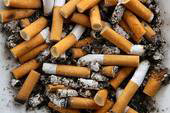 Scienziati a confronto: sentenza amara per i fumatori con le ultime sul tabacco al Polonio