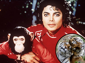 Michael Jackson, “wacko Jacko” dalla pelle bianca  – racconto tredicesimo