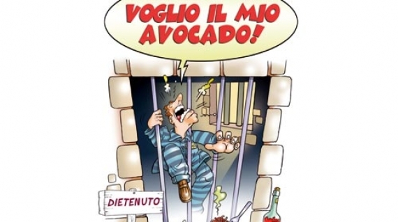 Voglio il mio avocado. Il giocabolario. Il nuovo libro di Pietro Gorini e PassePartout