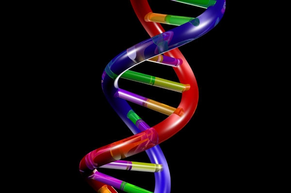Decifrate le informazioni del genoma dimenticato grazie al Cnr