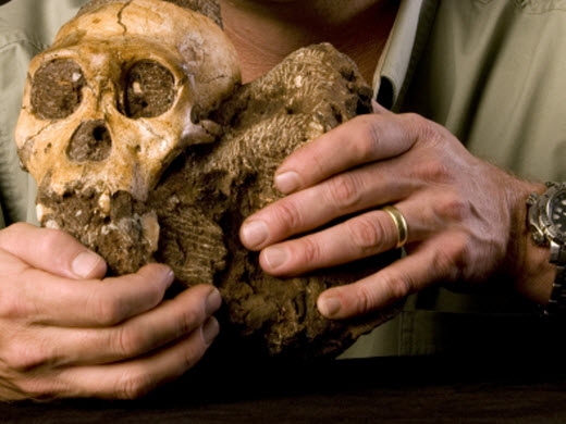 Archeologia. Scoperto scheletro di 2 milioni di anni
