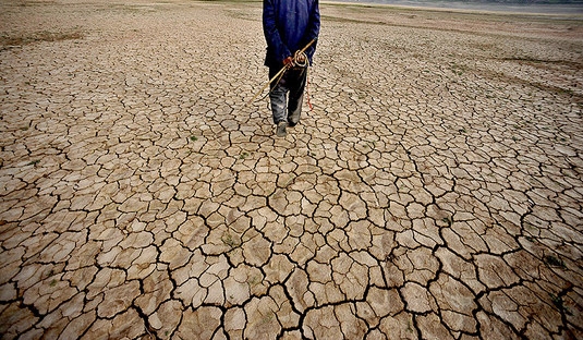 Agricoltura. Coldiretti, la siccità fa danni per 400 milioni. Raccolti KO