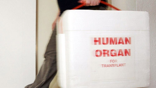 Cina. Traffico organi umani. 17enne vende rene per Iphone