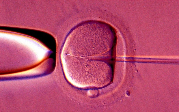 Fecondazione in vitro a tre, primo sì del Regno Unito. Eviterà malattie gravi