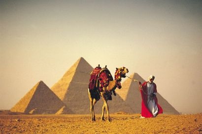 Egitto. Federconsumatori, comportamenti scorretti della Farnsesina