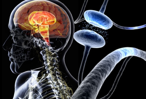 Morbo di Parkinson, studio innovativo suggerisce l’uso della chinetina