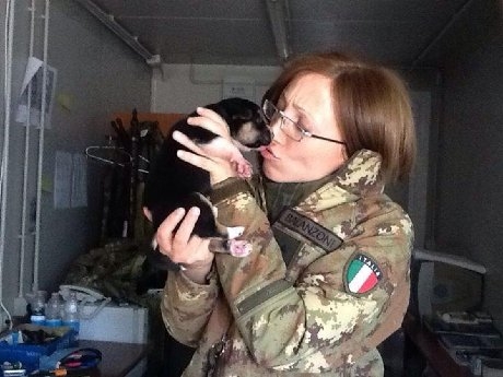 Salva gatta incinta in Kosovo, ora tenente italiana rischia la prigione