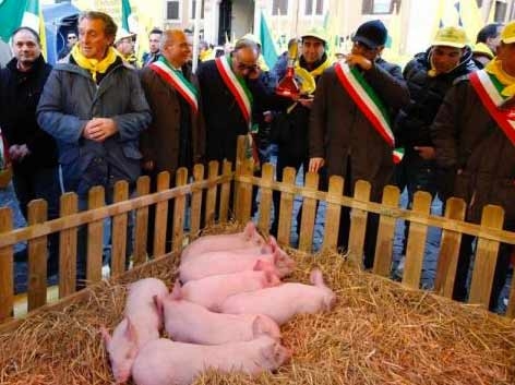 Coldiretti, maiali a Montecitorio per difendere il Made in Italy