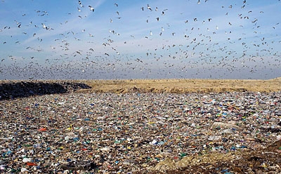 Discarica di Malagrotta. WWF, “Denunceremo a Prefettura possibile danno ambientale”