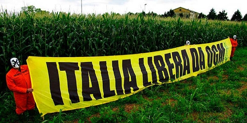 Ogm. Referendum Legambiente, l’Italia dice no all’ogm