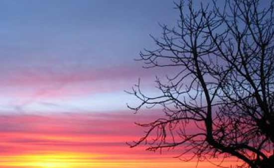 Libri. “Appunti d’alba” di Roberto Bertoni. Un viaggio alla ricerca di se stessi