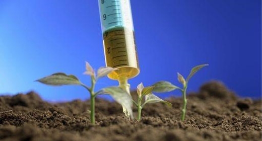 Agricoltura. OGM, nuove regole per scegliere di non coltivarli. IL VIDEO