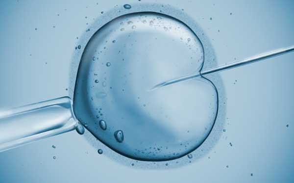 Fecondazione assistita. Scambio di embrioni, a rischio i diritti del minore
