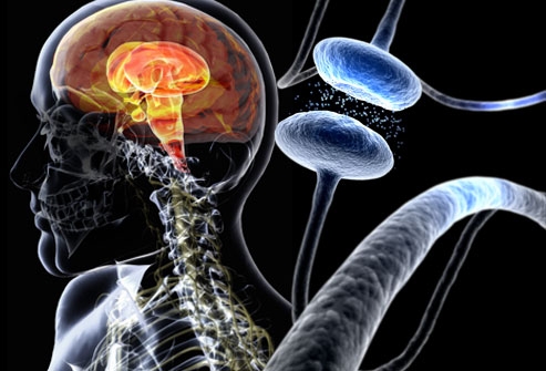 Malattia di Parkinson, scoperta la causa della forma giovanile