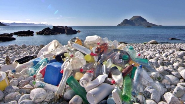 Ambiente. Spiagge soffocate dalla plastica