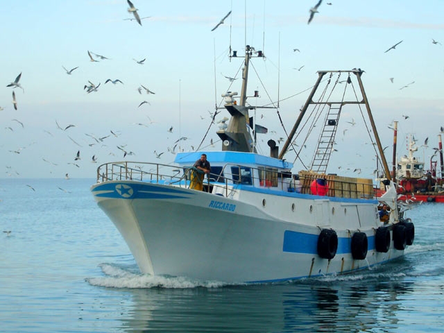 Stop a pesce fresco in Adriatico, scatta fermo