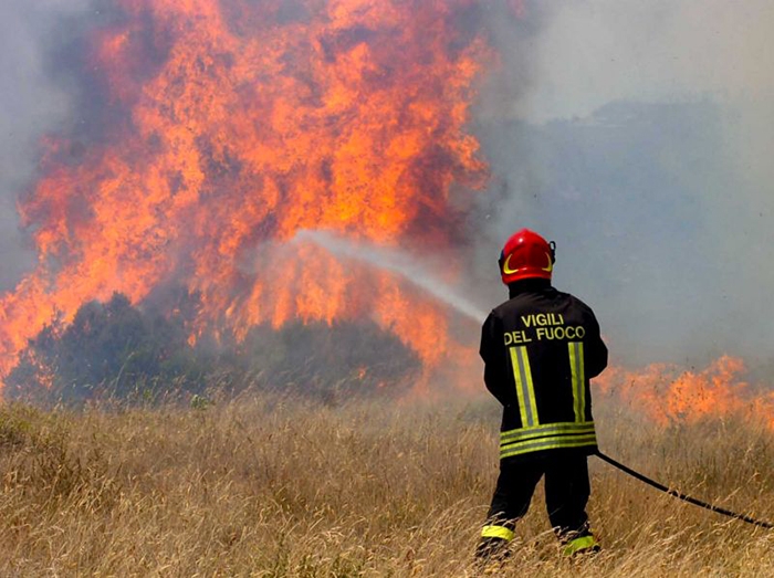 Caldo. 774 incendi in 10 giorni, strage di piante e animali