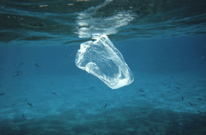 Inquinamento. “Plastic Free Sea”, un mare di immondizia
