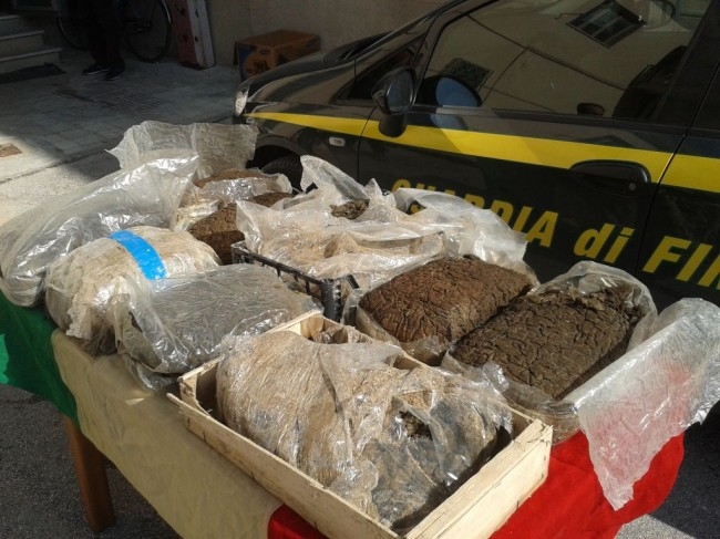 Droga. Maxi operazione al porto di Bari, sequestro di 1,6 tonnellate di marijuana