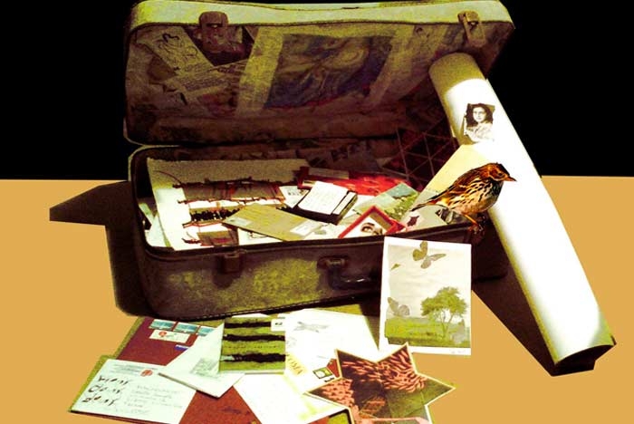 Rozzano, Giorno della Memoria: ricordare Anne Frank con la mail art