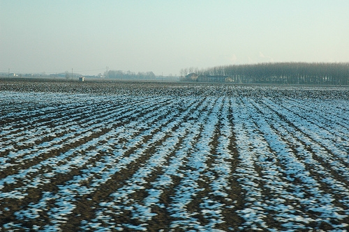 Agricoltura. Allarme gelo nelle campagne