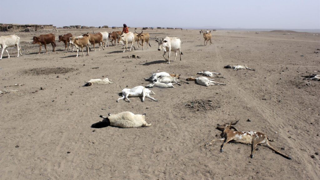 Etiopia, milioni di persone in balia di siccità e carestia