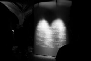 DSC06054-2_IJFR