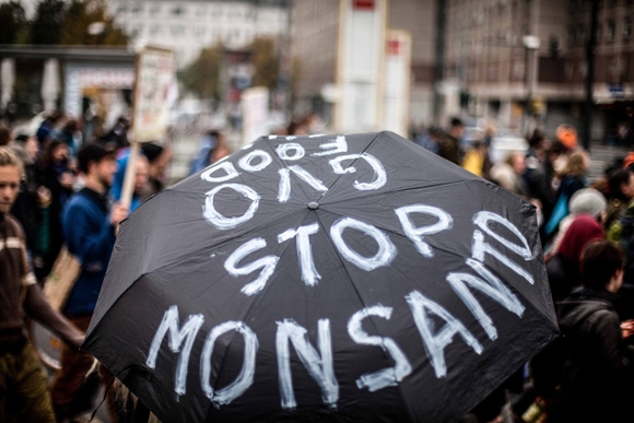 E’ la Monsanto che decide cosa dobbiamo mangiare?
