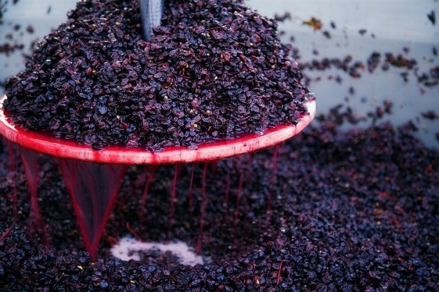 Vino: 70mila litri di vino con mosto moldavo sequestrati in Piemonte