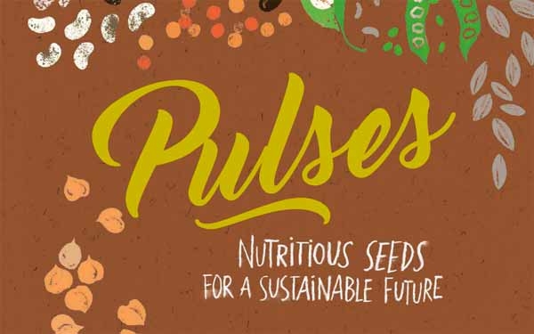 LIBRI. Pulses: nutrition seeds for a sustainable future: legumi, semi nutrienti per un futuro sostenibile