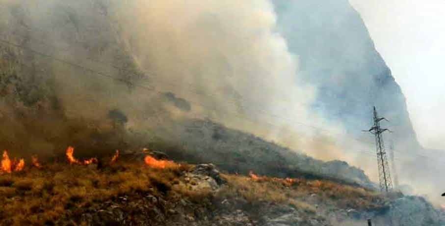 Incendi in Sicilia. Intensificare attività contro incendiari