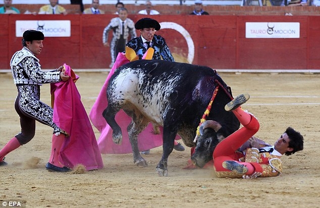 Spagna: torero muore incornato. Non accadeva da 31 anni. IL VIDEO SHOCK