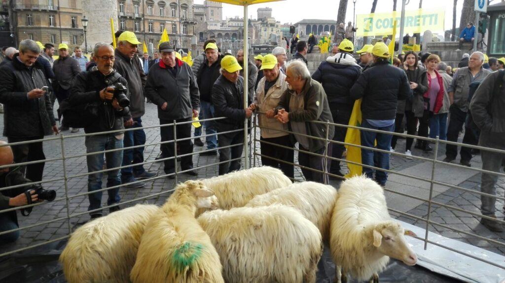 Pastori e pecore in piazza a difesa del Made in Italy