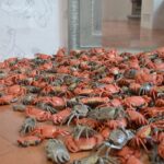 Ai-Weiwei-in-mostra-a-Palazzo-Strozzi-Firenze-foto-Valentina-Silvestrini-24