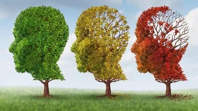 Ricerca. Uno studio del Cnr conferma: allenare il corpo e la mente contrasta la demenza senile