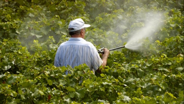 E’ allarme pesticidi: aumentano i casi fuorilegge