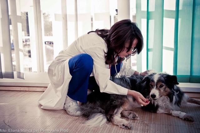 Ozonoterapia una terapia valida in veterinaria