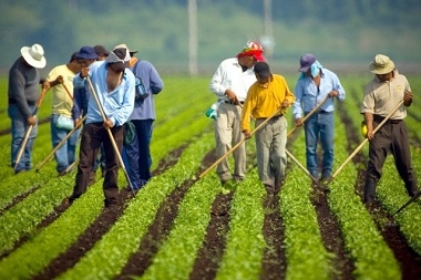 Lavoro. Nei campi la rivoluzione agricola. richieste nuove professionalità