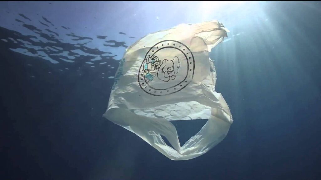 Gionata mondiale Oceani, contro l’inquinamento da plastica