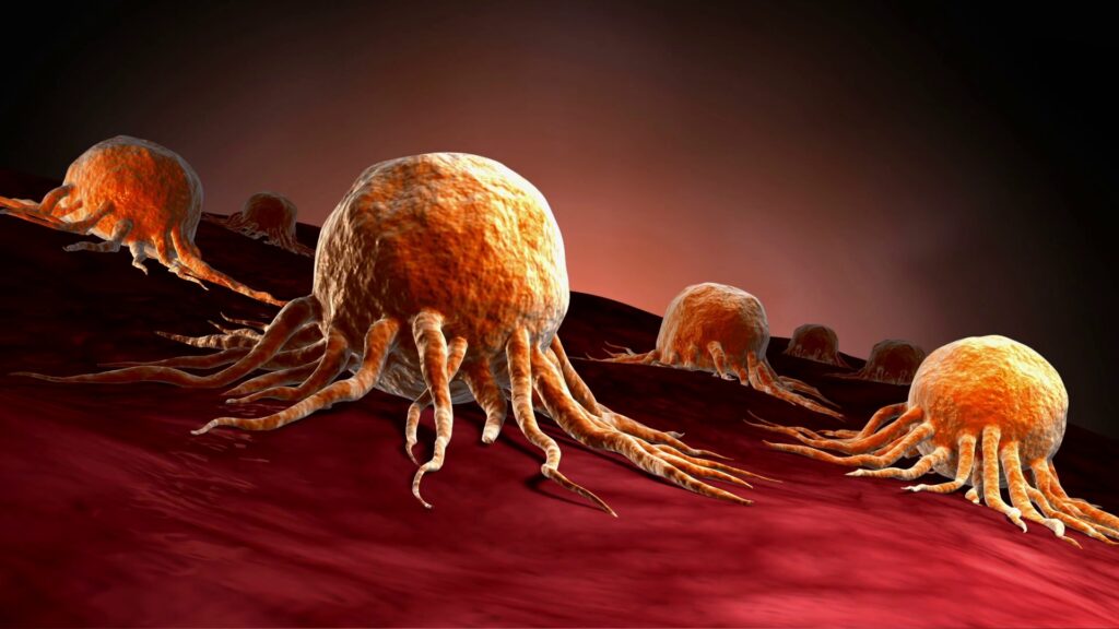 “Anakoinosis”: dalla ricerca biologica avanzata la nuova speranza contro il cancro