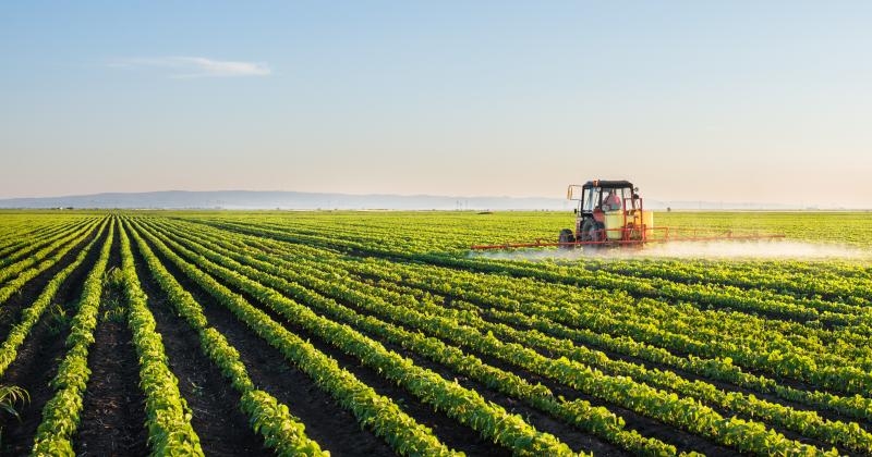 Produzioni agricole sostenibili. Accordo tra Enea, Fao e i big della ricerca