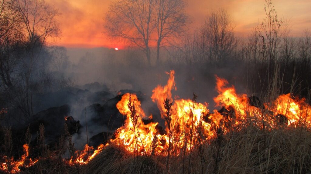 Incendi: arriva un nuovo studio sulle previsioni stagionali