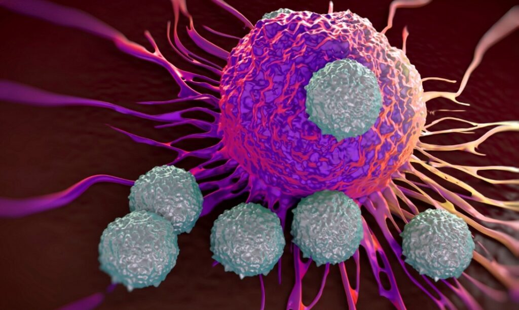Una nuova scoperta contro la proliferazione e sopravvivenza delle cellule tumorali