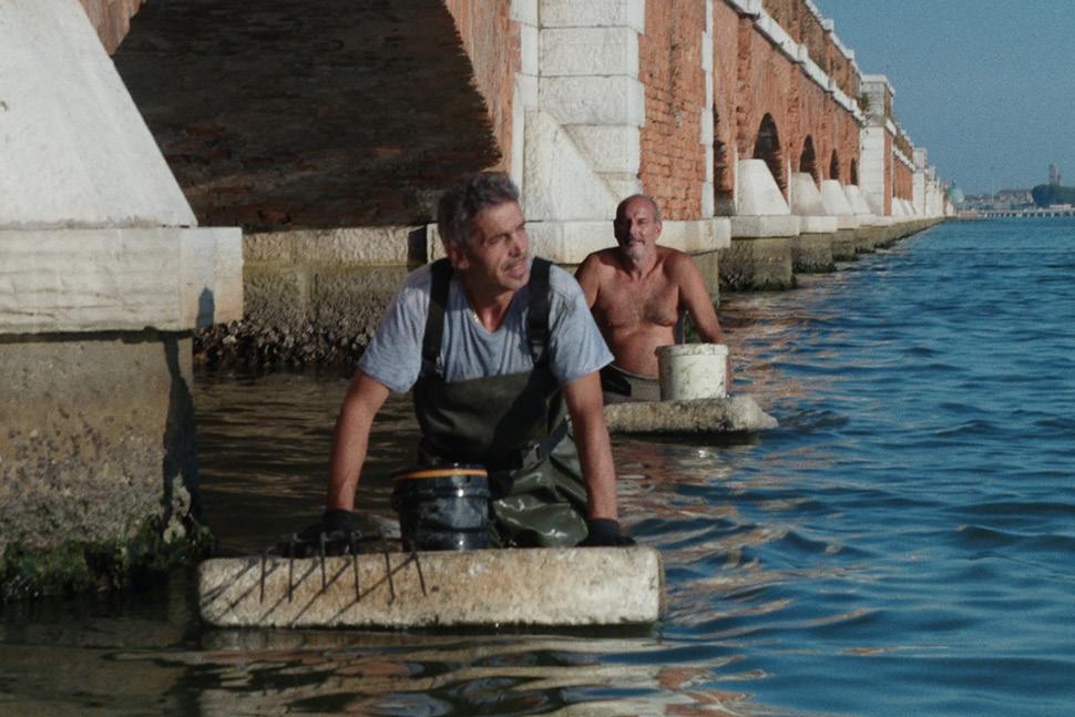Venezia 76. “Il pianeta in mare”, 60 nazionalità diverse danno vita a Marghera