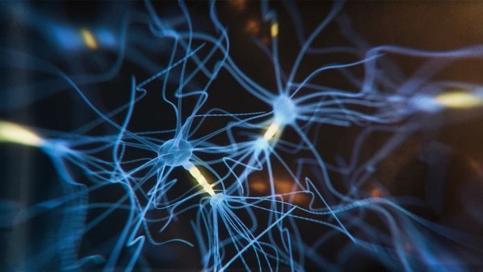 Le nanotecnologie che permettono di ascoltare il dialogo tra le cellule a stella del cervello