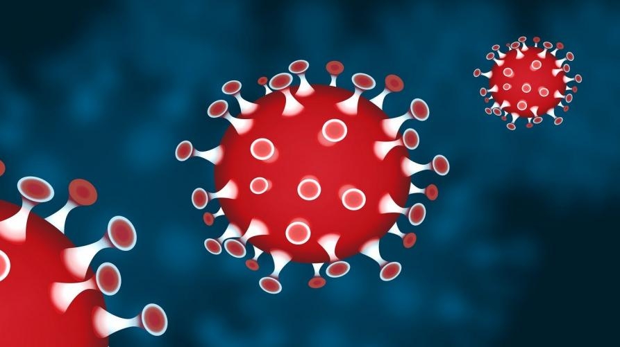 Aiutiamo la ricerca italiana a sconfiggere il Coronavirus