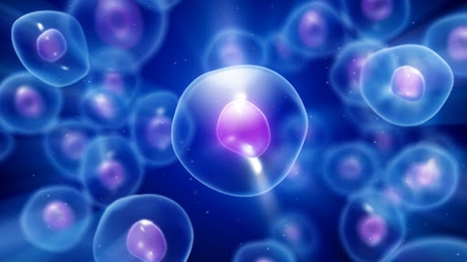 Spliceosoma: come si propaga l’informazione giusta nelle cellule
