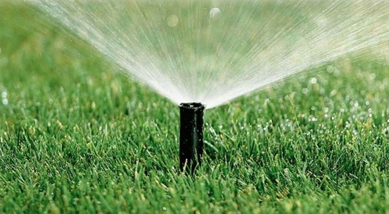 Irrigazione giardino: consigli pratici per averlo sempre perfetto anche in estate
