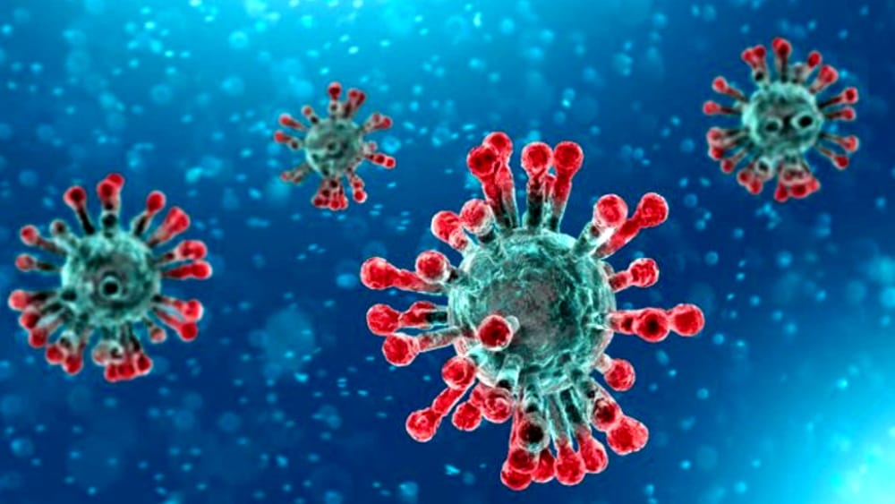 Coronavirus. Un’altra importante scoperta nello sviluppo di nuovi farmaci e vaccini