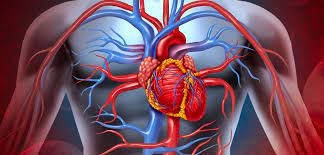 Cnr e la Siprec, insieme per la prevenzione cardiovascolare